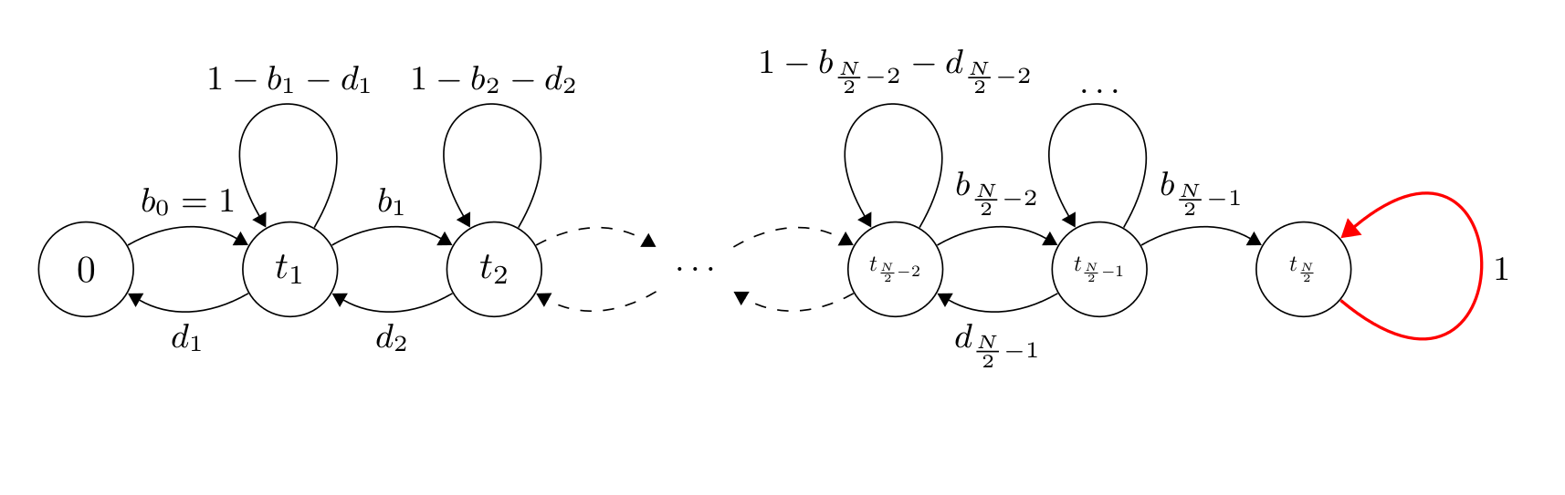 Łańcuch Markova absorbujący przy (\frac{N}{2}).